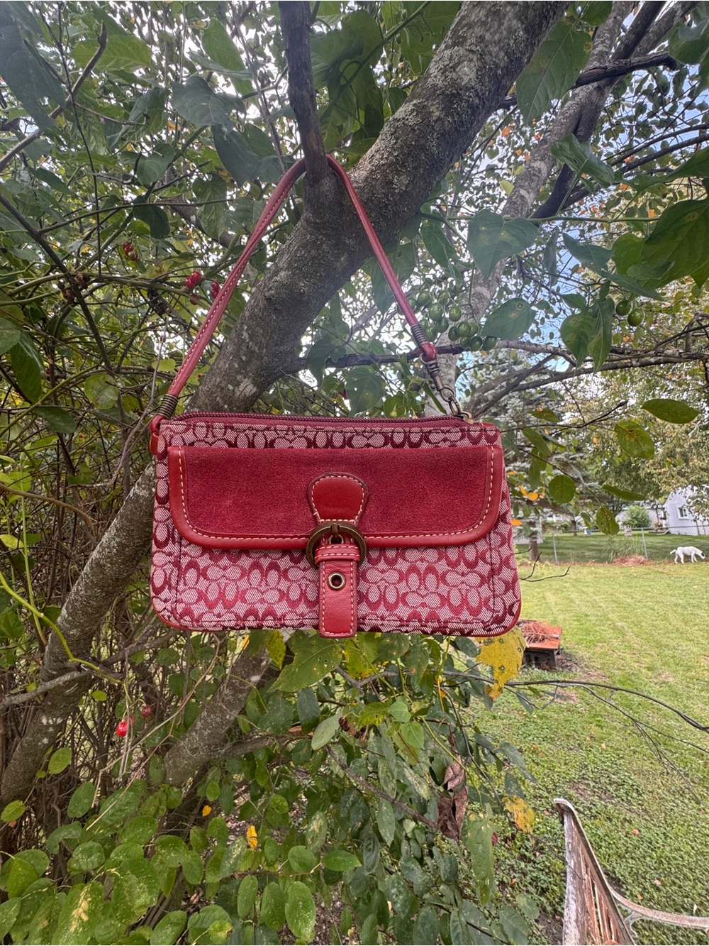 Coach Red Signature Canvas wristlet with Buckle